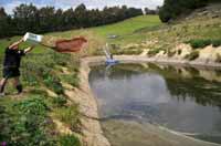 Biological Pond Treatment Systems.