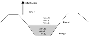 The fate of nutrients in an anaerobic pond